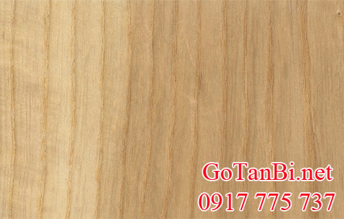 gỗ tần bì (gỗ ash)