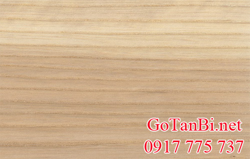 gỗ tần bì (gỗ ash) trắng