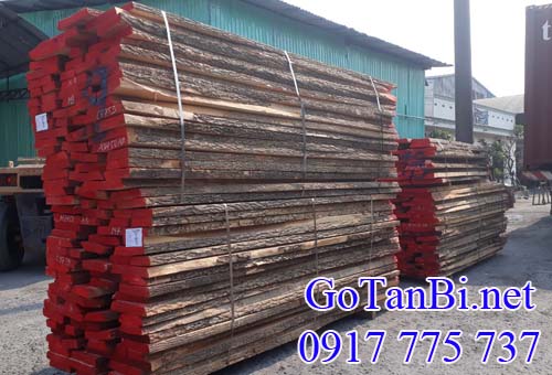 Bán gỗ Ash (gỗ Tần Bì) xẻ sấy chưa rong bìa tại Bình Dương