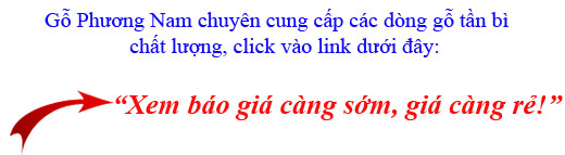 giá bán gỗ tần bì (gỗ ash) nhập khẩu