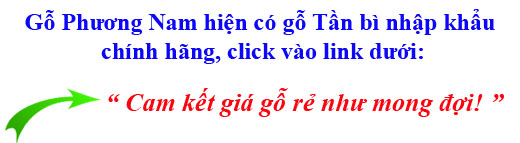 giá thành gỗ tần bì (gỗ ash) nhập khẩu tại Phương Nam với chất lượng tốt