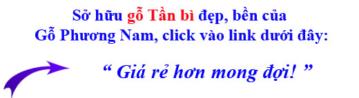 sở hữu gỗ tần bì (gỗ ash) nhập khẩu chất lượng tại gỗ Phương Nam